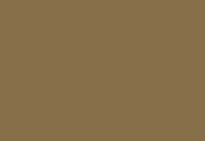 S104-Toffee-brown